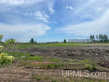 Undeveloped Land for sale in Delta County, Michigan