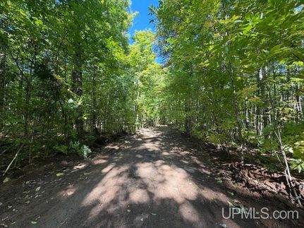 Land for sale in Baraga County, Michigan
