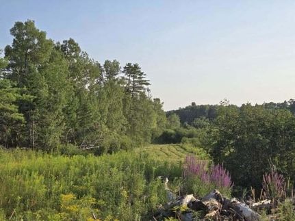 Undeveloped Land for sale in Penobscot County, Maine