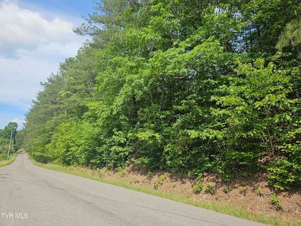 Undeveloped Land for sale in Wise County, Virginia