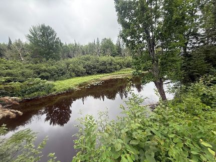 Land for sale in Chippewa County, Michigan