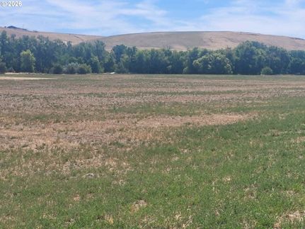 Undeveloped Land for sale in Umatilla County, Oregon
