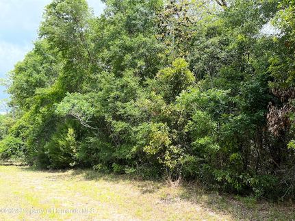 Land for sale in Levy County, Florida