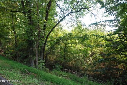 Undeveloped Land for sale in Roane County, Tennessee