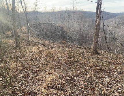 Undeveloped Land for sale in Pike County, Ohio