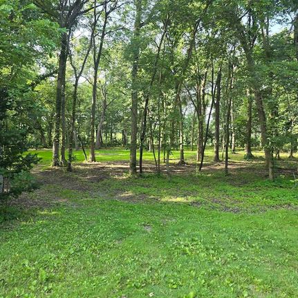 Undeveloped Land for sale in Ogle County, Illinois