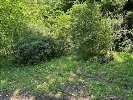 Land for sale in Logan County, West Virginia