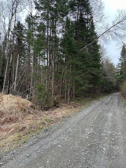 Undeveloped Land for sale in Penobscot County, Maine