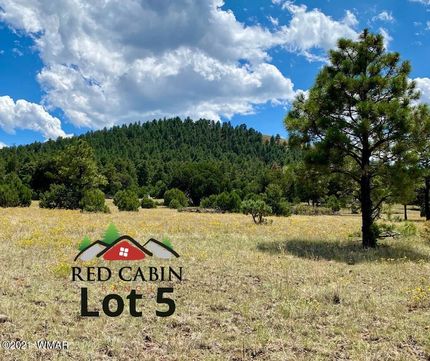 Land for sale in Apache County, Arizona