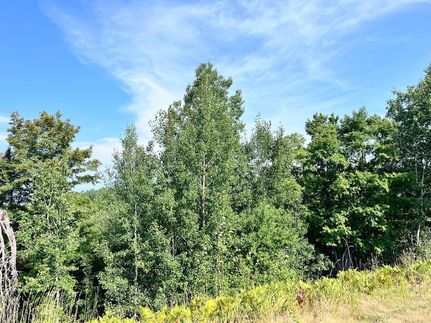 Land for sale in Vilas County, Wisconsin