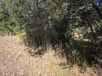 Land for sale in Highlands County, Florida