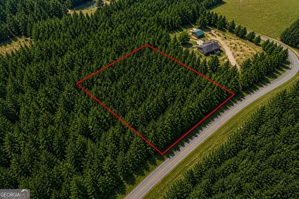Undeveloped Land for sale in Jeff Davis County, Georgia