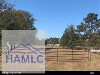 Undeveloped Land for sale in Long County, Georgia