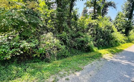 Undeveloped Land for sale in Henry County, Tennessee