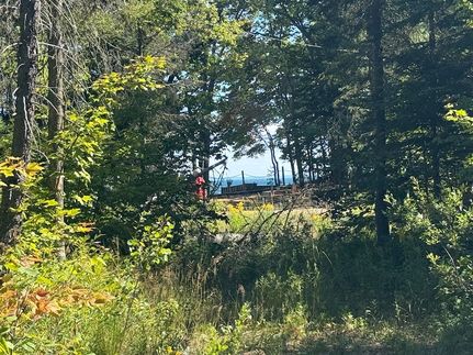 Land for sale in Chippewa County, Michigan