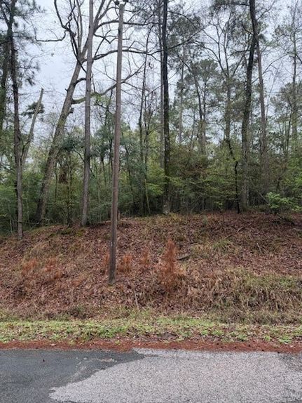 Homesite for sale in San Jacinto County, Texas