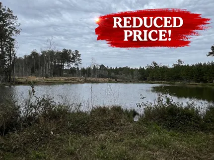 Farm and Ranch for sale in Early County, Georgia
