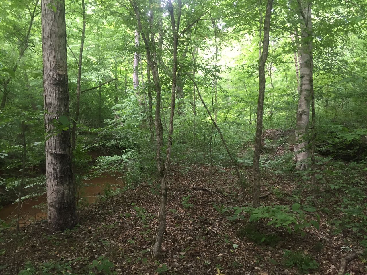 Forsyth, Monroe County, GA Recreational Property, Timberland Property