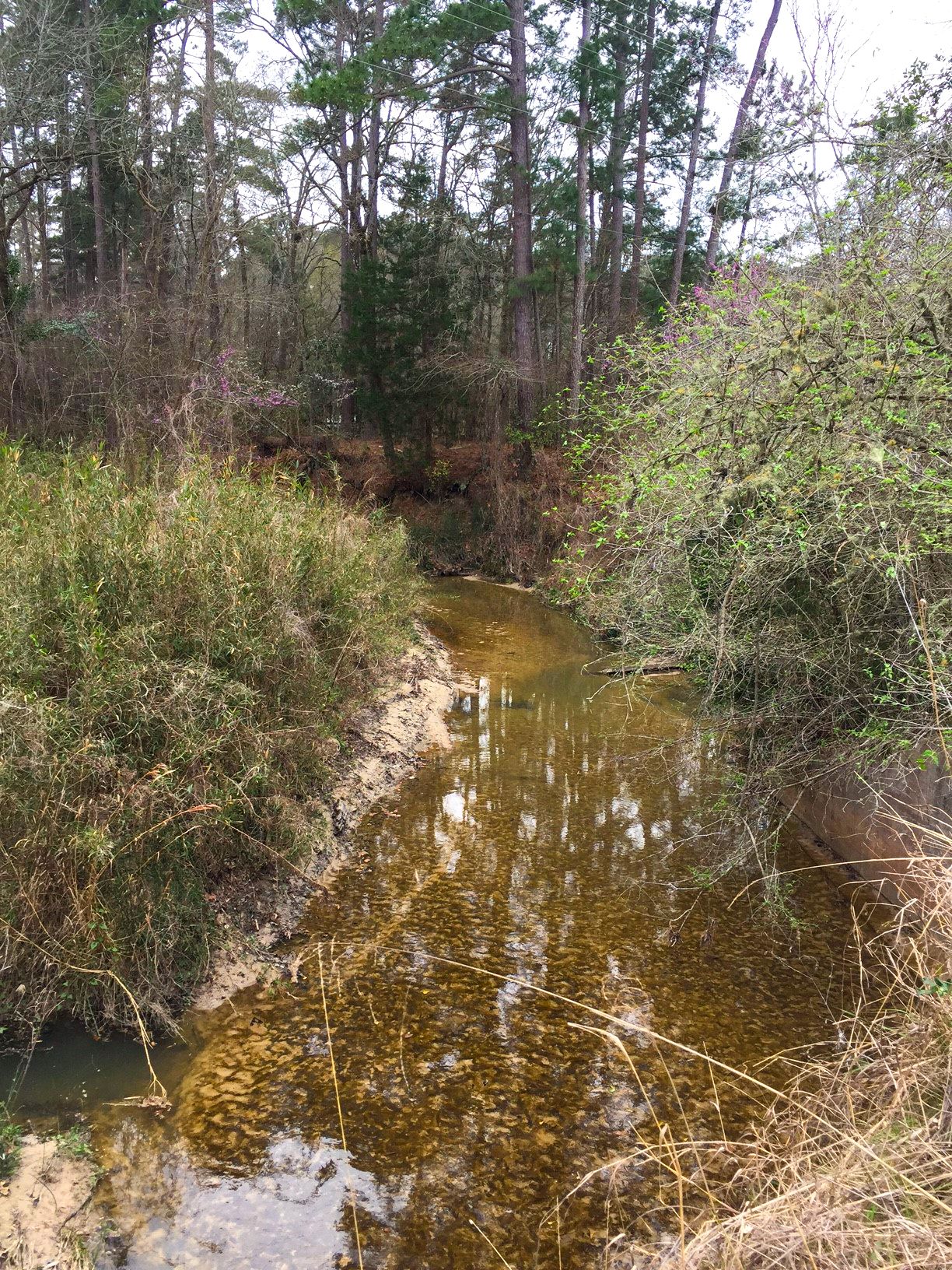 Point Blank, San Jacinto County, TX Recreational Property, Undeveloped
