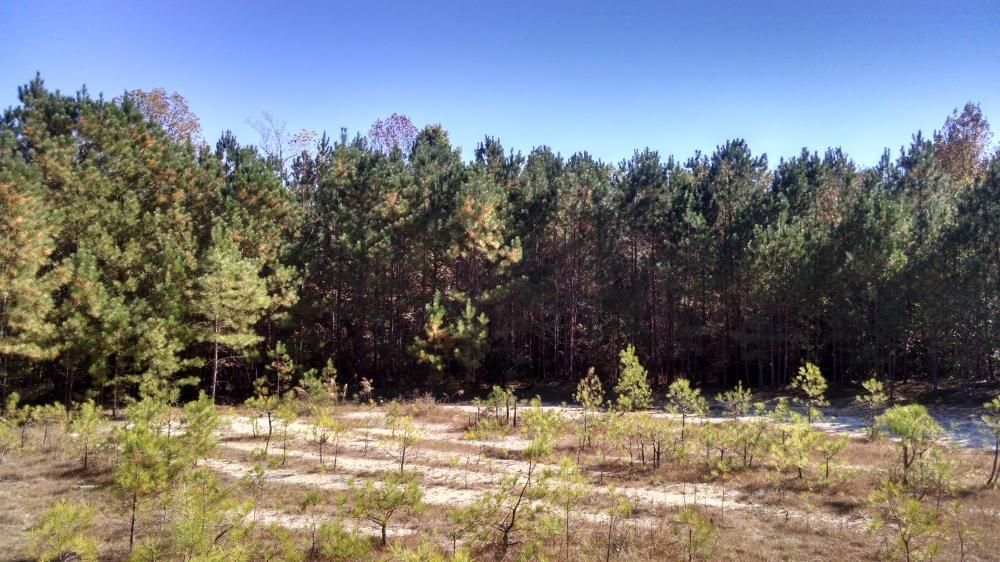 Eagle Springs, Moore County, NC Undeveloped Land, Homesites for sale