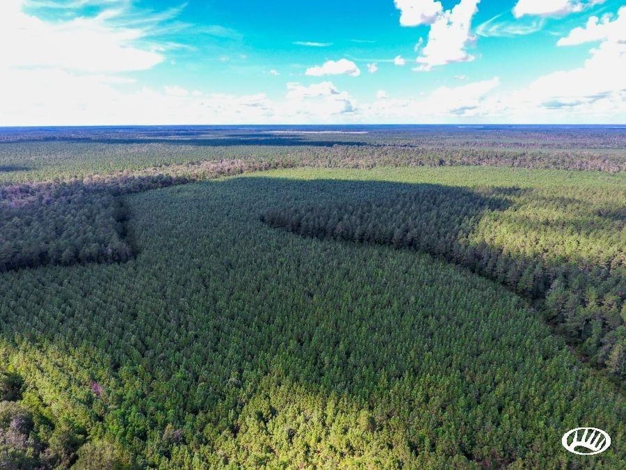 Daisetta, Hardin County, TX Recreational Property, Timberland Property