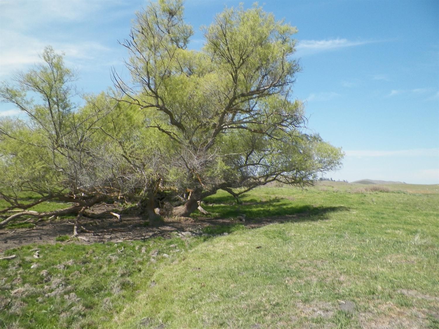 Raymond, Madera County, CA Farms and Ranches for sale Property ID