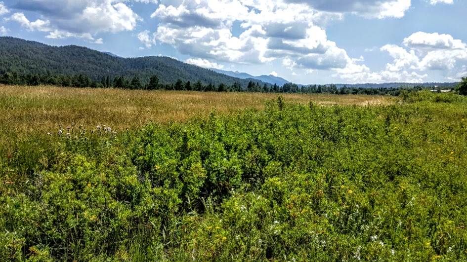 El Valle, Taos County, NM Undeveloped Land for sale Property ID