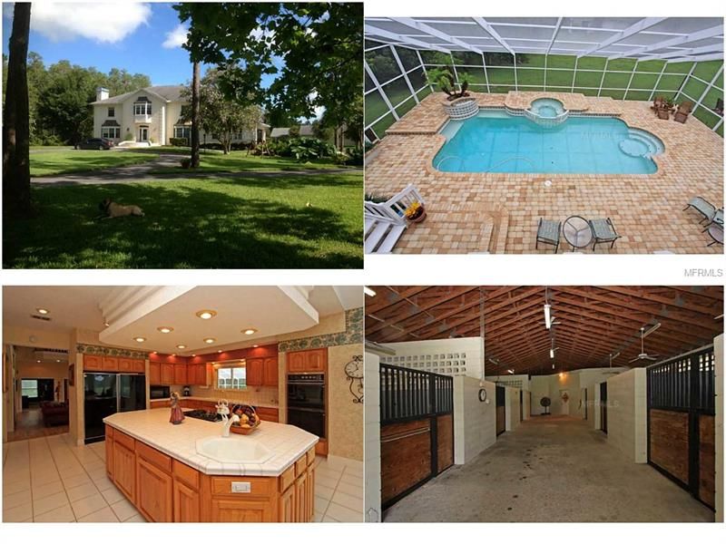 Spring Hill, Pasco County, FL House for sale Property ID 299027138 LandWatch