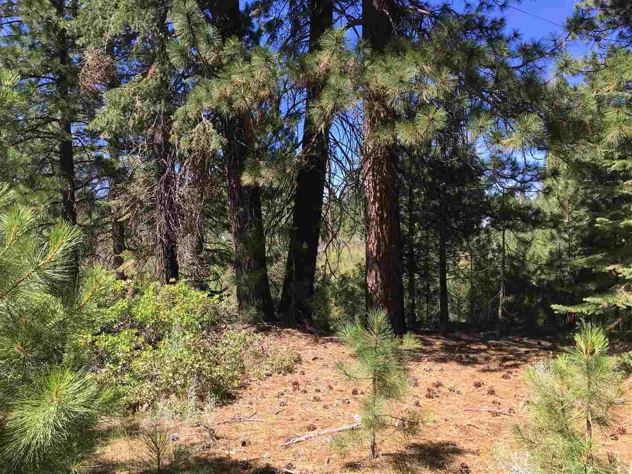 Westwood, Lassen County, CA Undeveloped Land, Homesites for sale