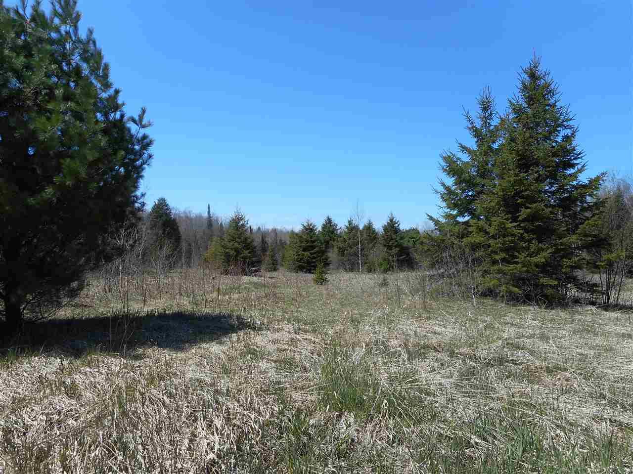 Ontonagon, Ontonagon County, MI Undeveloped Land for sale Property ID