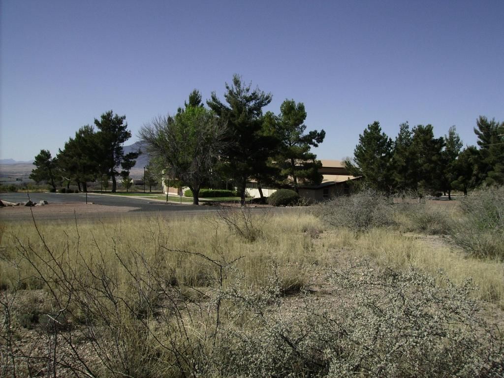 Bisbee, Cochise County, AZ Farms and Ranches, Homesites for sale