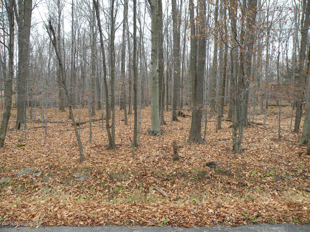 Blakeslee, Monroe County, PA Undeveloped Land, Homesites for sale