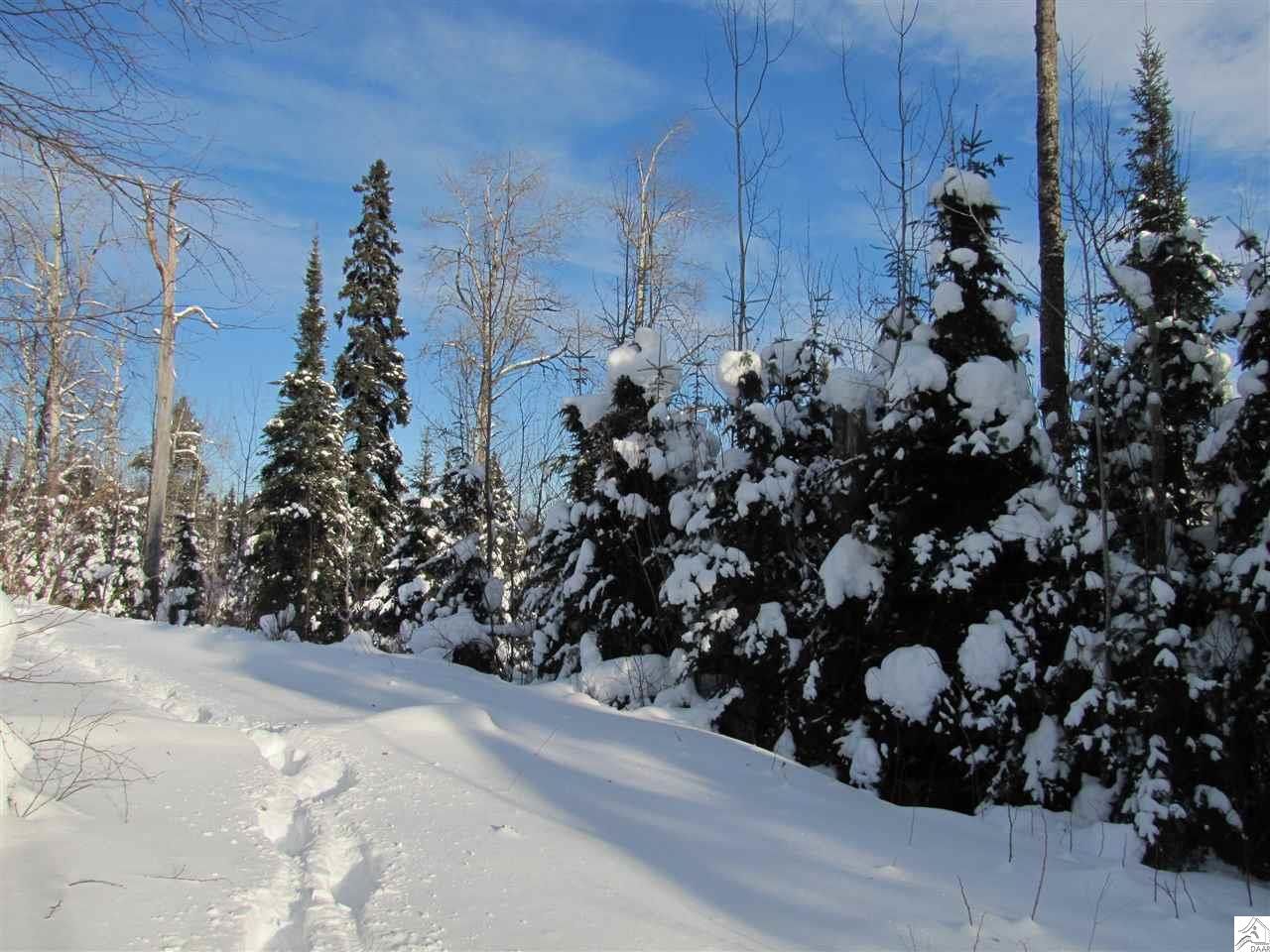 Lutsen, Cook County, MN Undeveloped Land, Lakefront Property