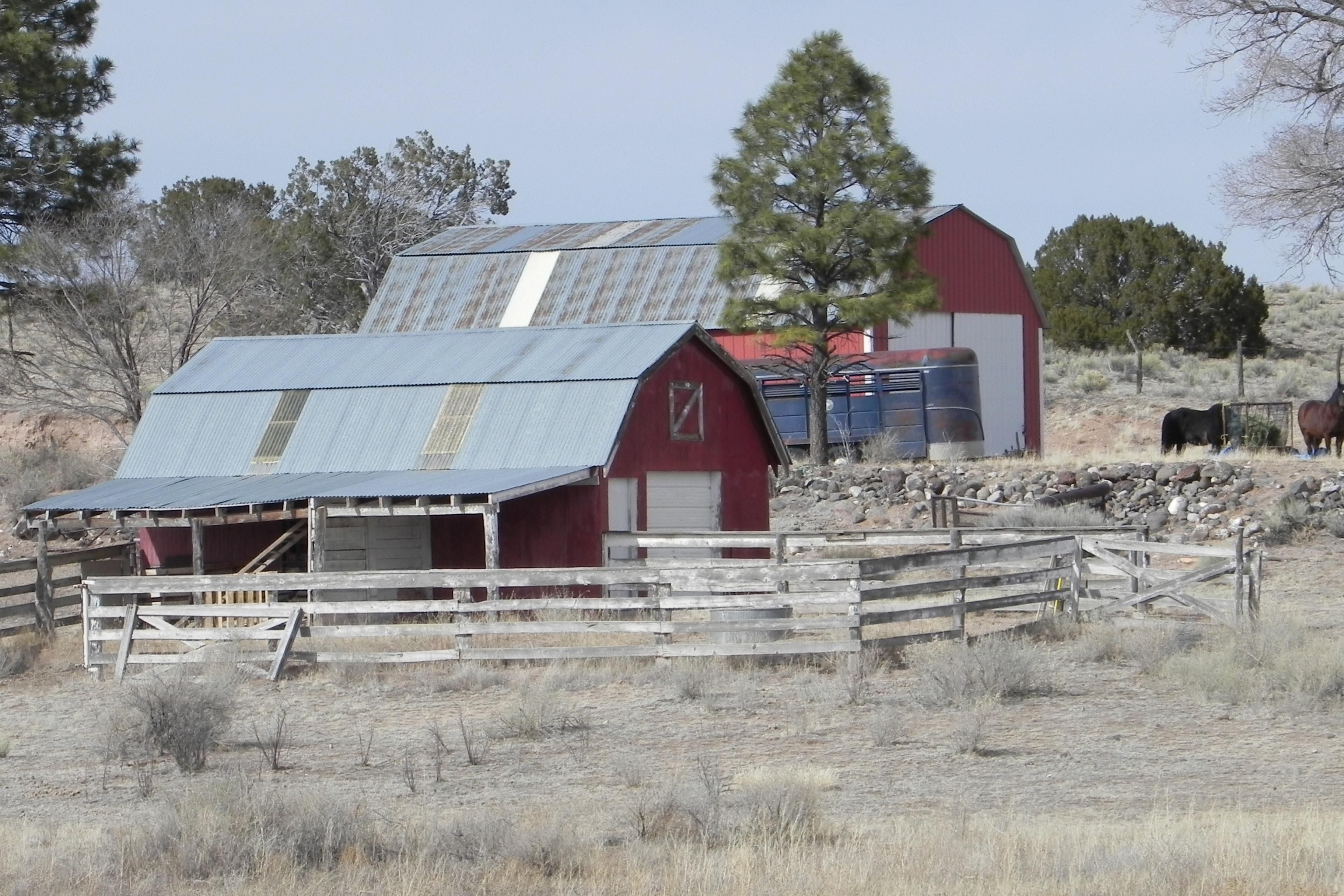 Quemado, Catron County, NM Farms and Ranches, Horse Property for sale