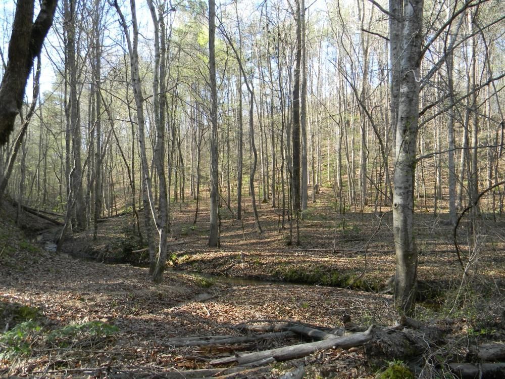 Bankston, Fayette County, AL Recreational Property, Timberland Property