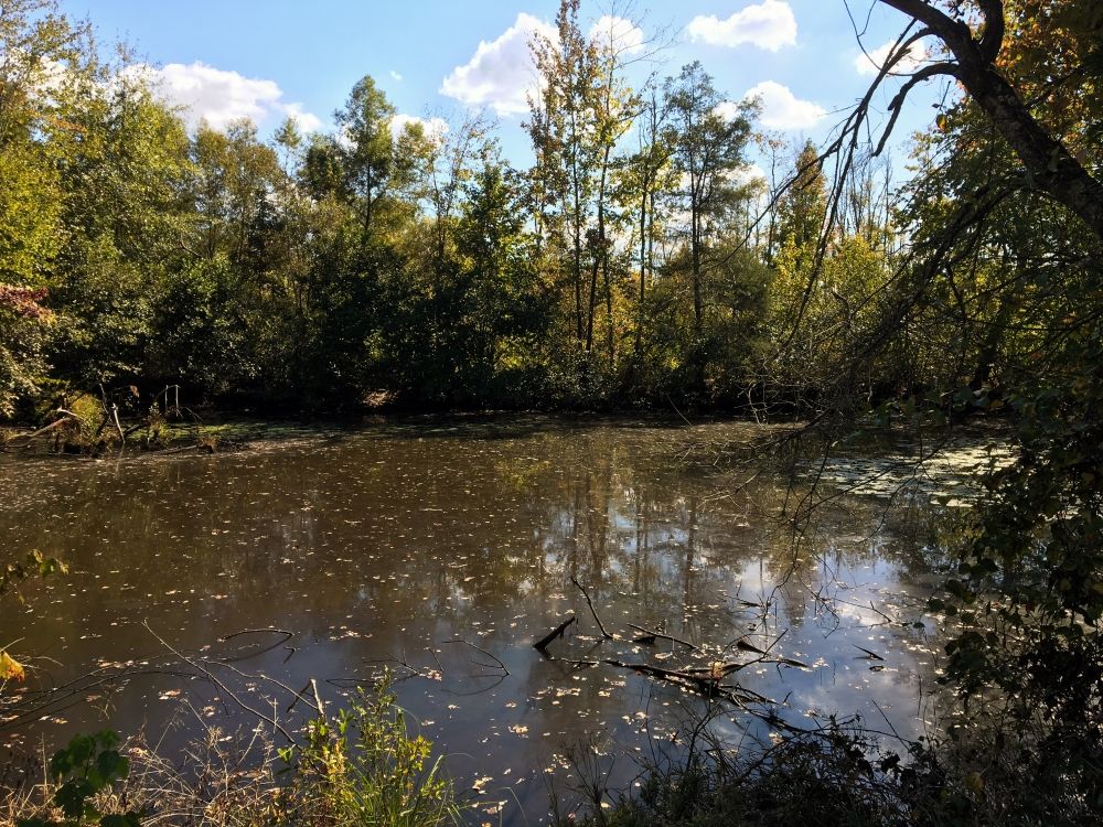 0 Farnbank Road and Hwy 17, Millport, AL 35576 LandWatch