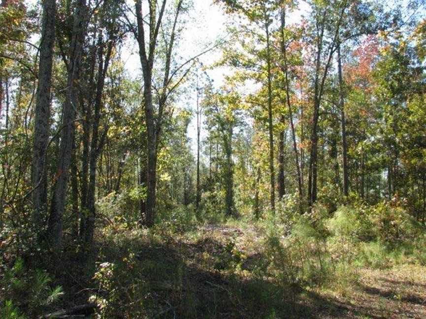 Townsend, McIntosh County, GA Recreational Property, Riverfront