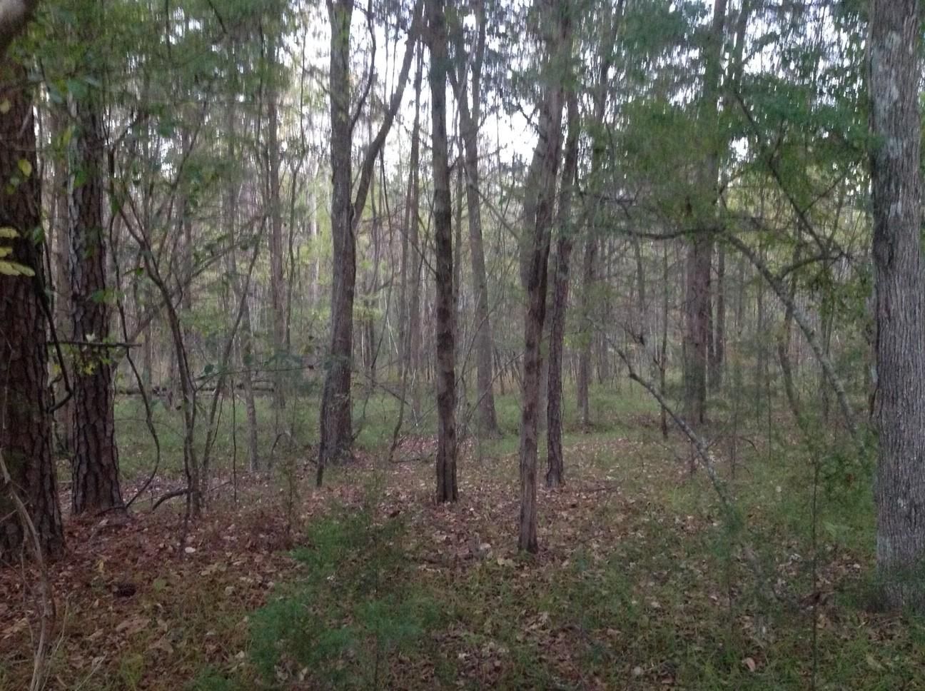 Cantelou Road, Montgomery, AL 36108 LandWatch