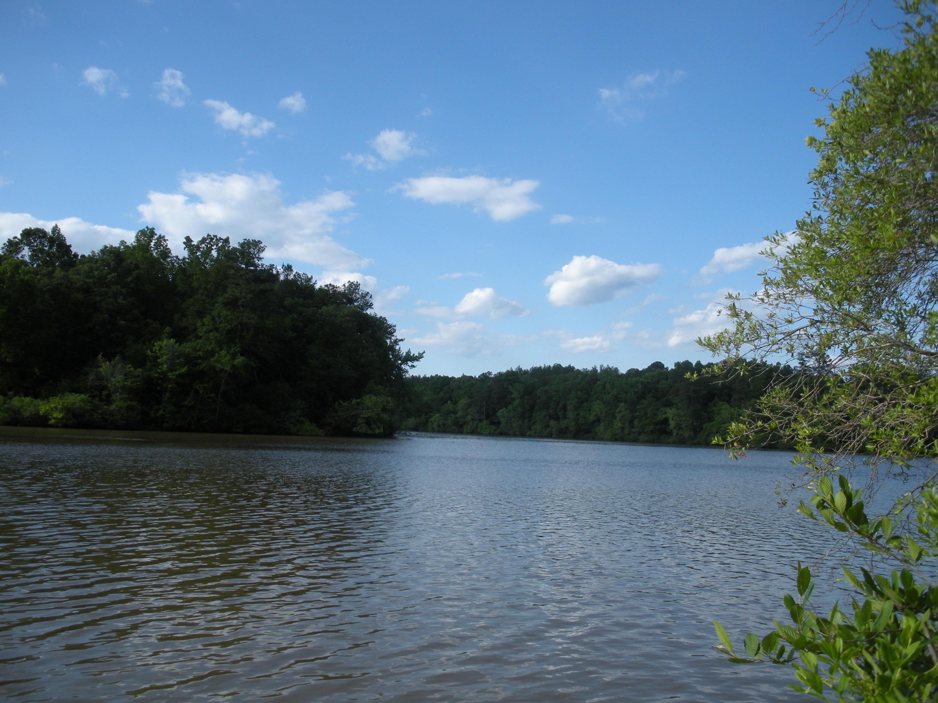 80.26 acres in Reeltown, AL, 36078 LandWatch