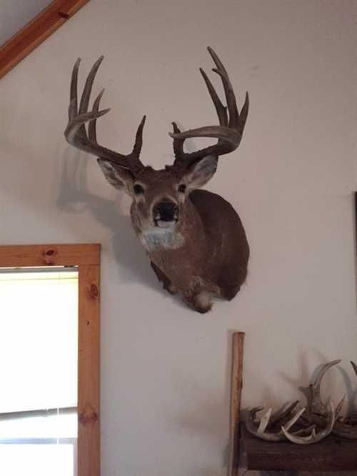 Salina, Saline County, KS Farms and Ranches, House for sale Property ID