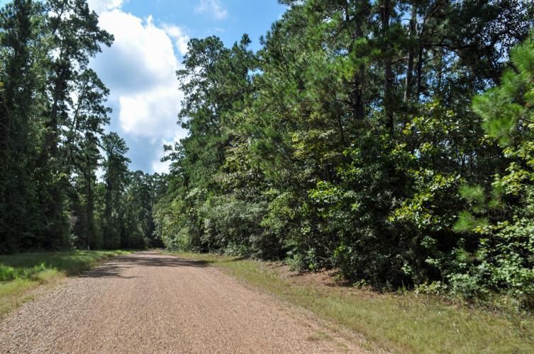 Rye, Liberty County, TX Undeveloped Land for sale Property ID