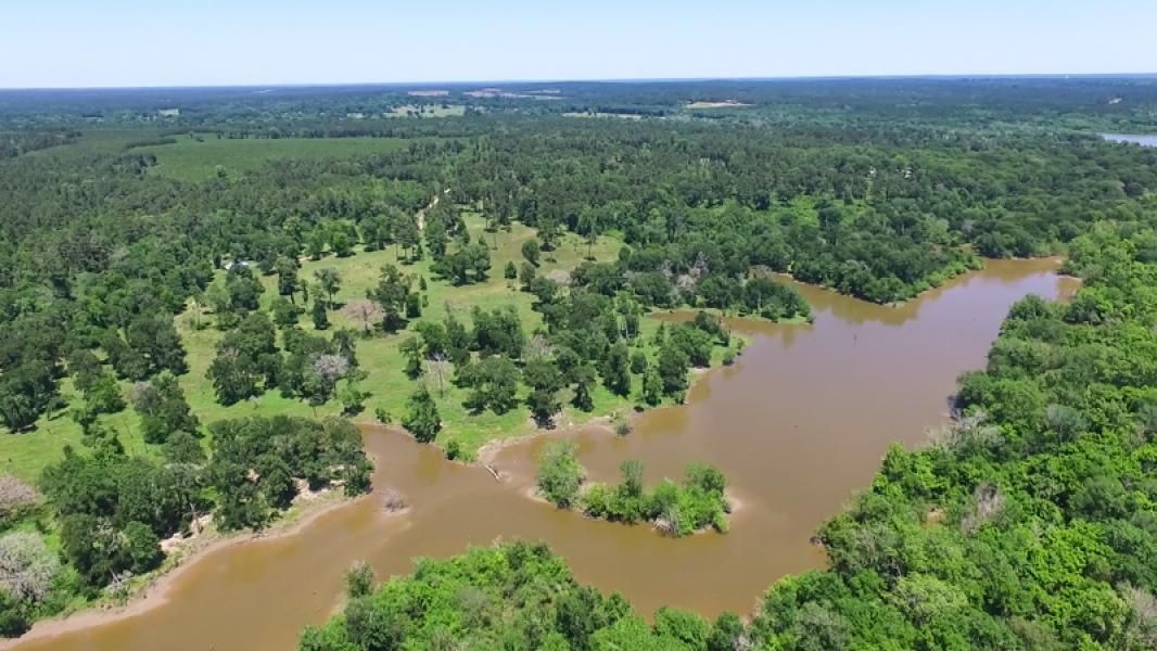 Trinity, Walker County, TX Recreational Property, Undeveloped Land