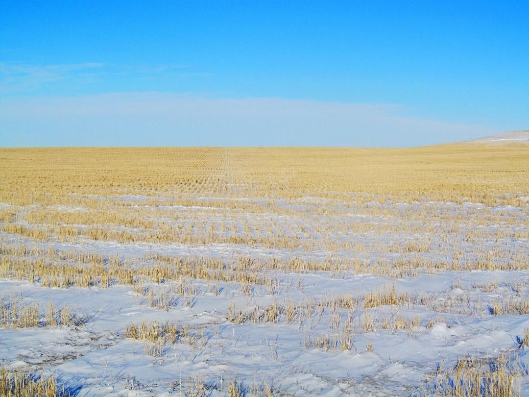 640 acres in Bison, SD, 57620 LandWatch