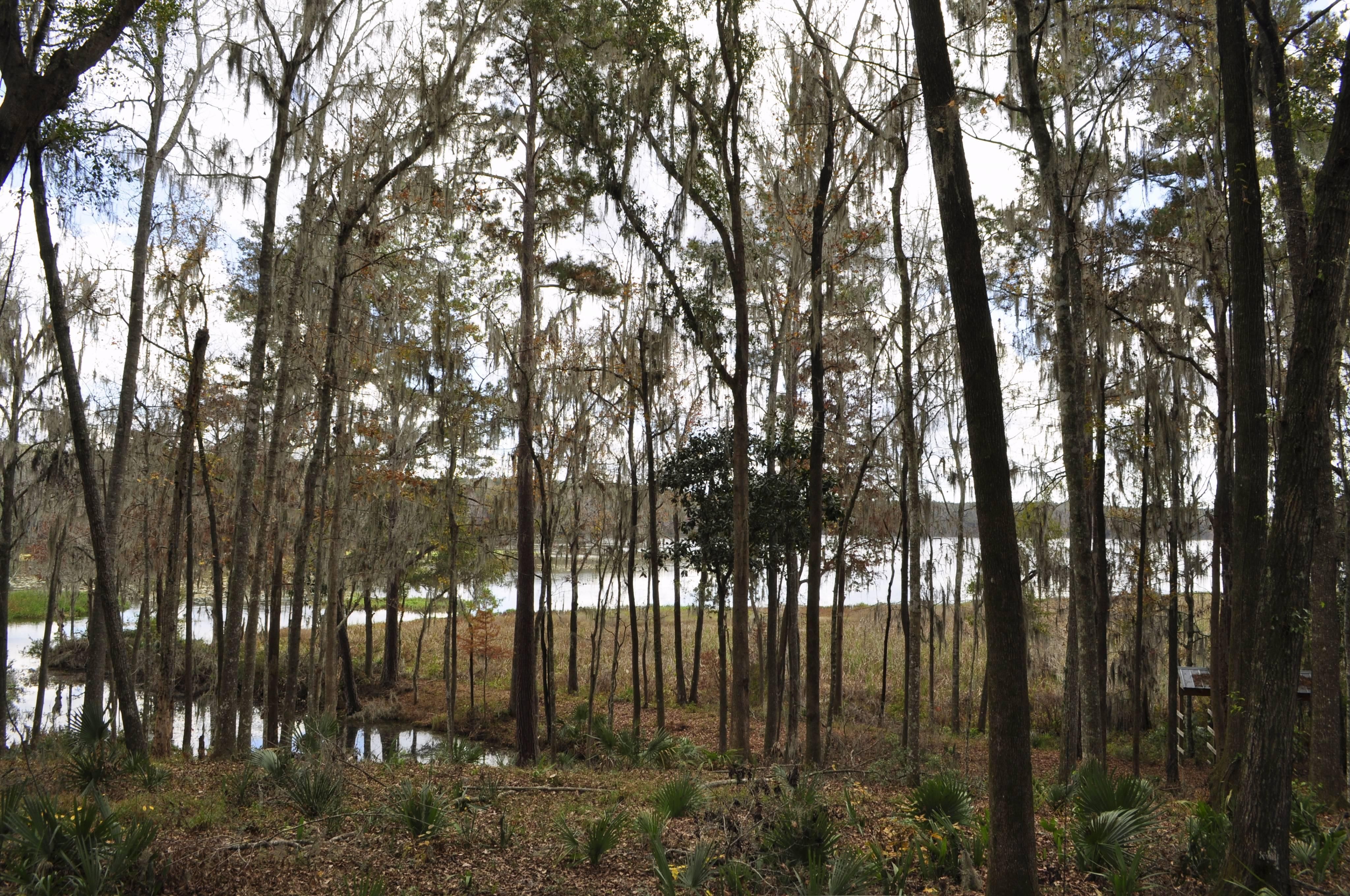 Quincy, Gadsden County, FL Recreational Property, Lakefront Property