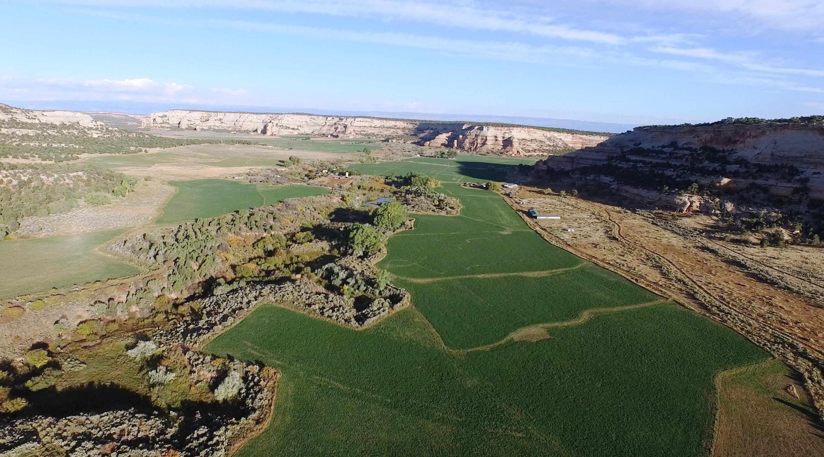 Glade Park, Mesa County, CO Farms and Ranches, House for sale Property