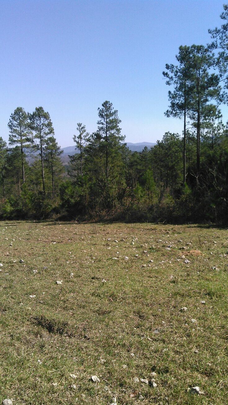 Piedmont, Calhoun County, AL Farms and Ranches for sale Property ID