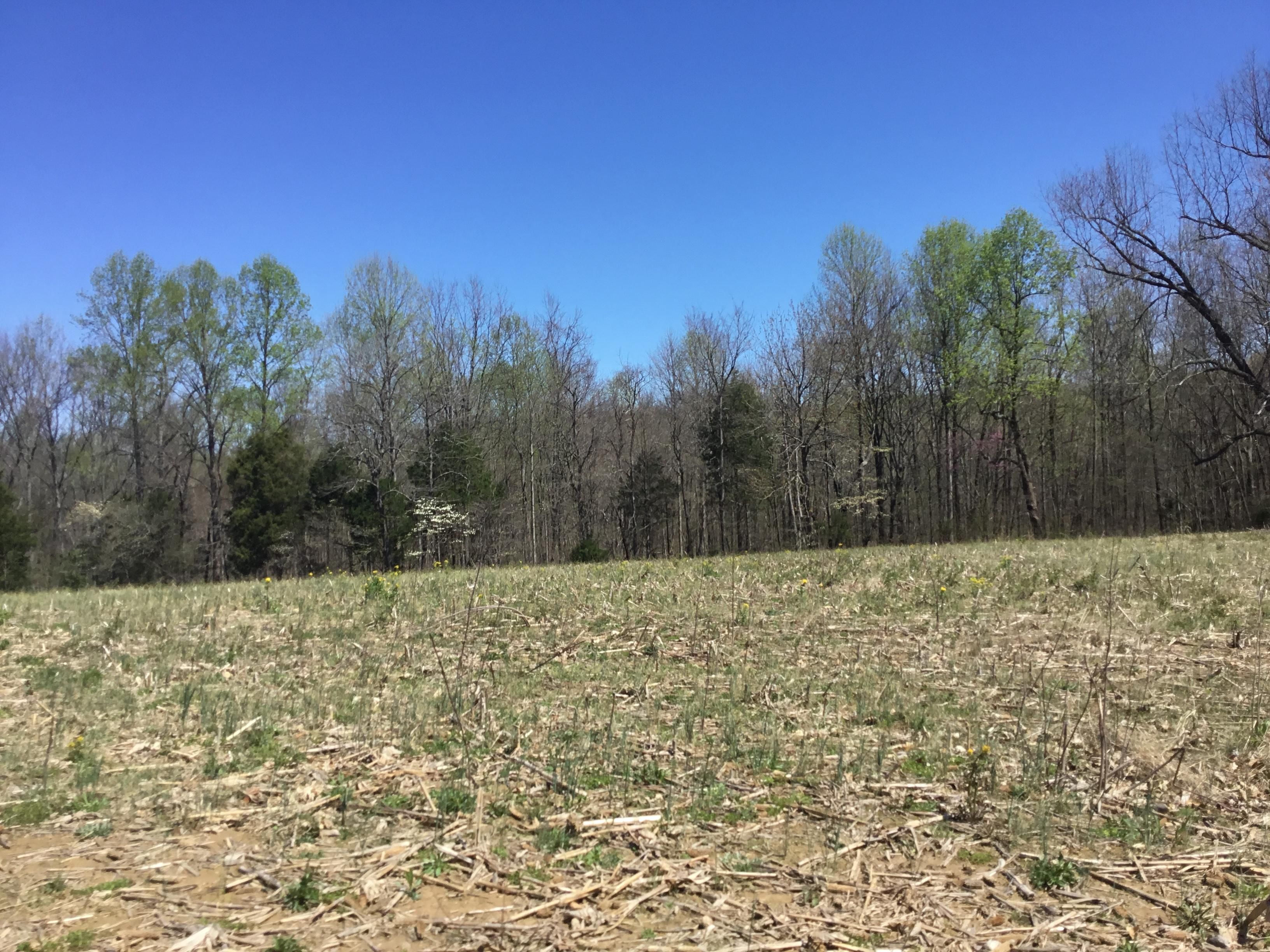 430 acres in KY, 42261 LandWatch