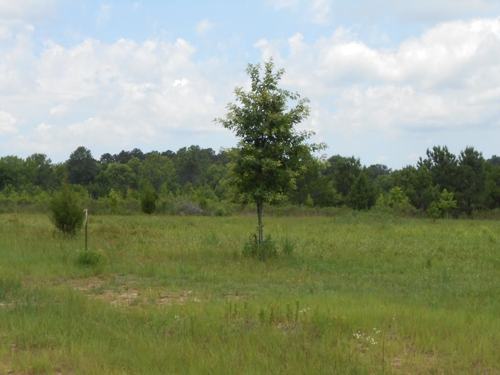 Sand Hill, Rankin County, MS House for sale Property ID 334130606