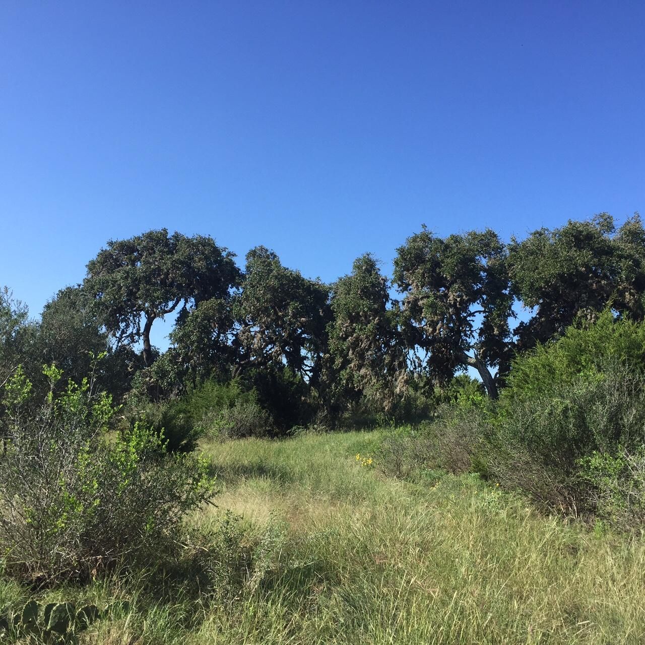 Barksdale, Edwards County, TX Farms and Ranches, Hunting Property for sale Property ID