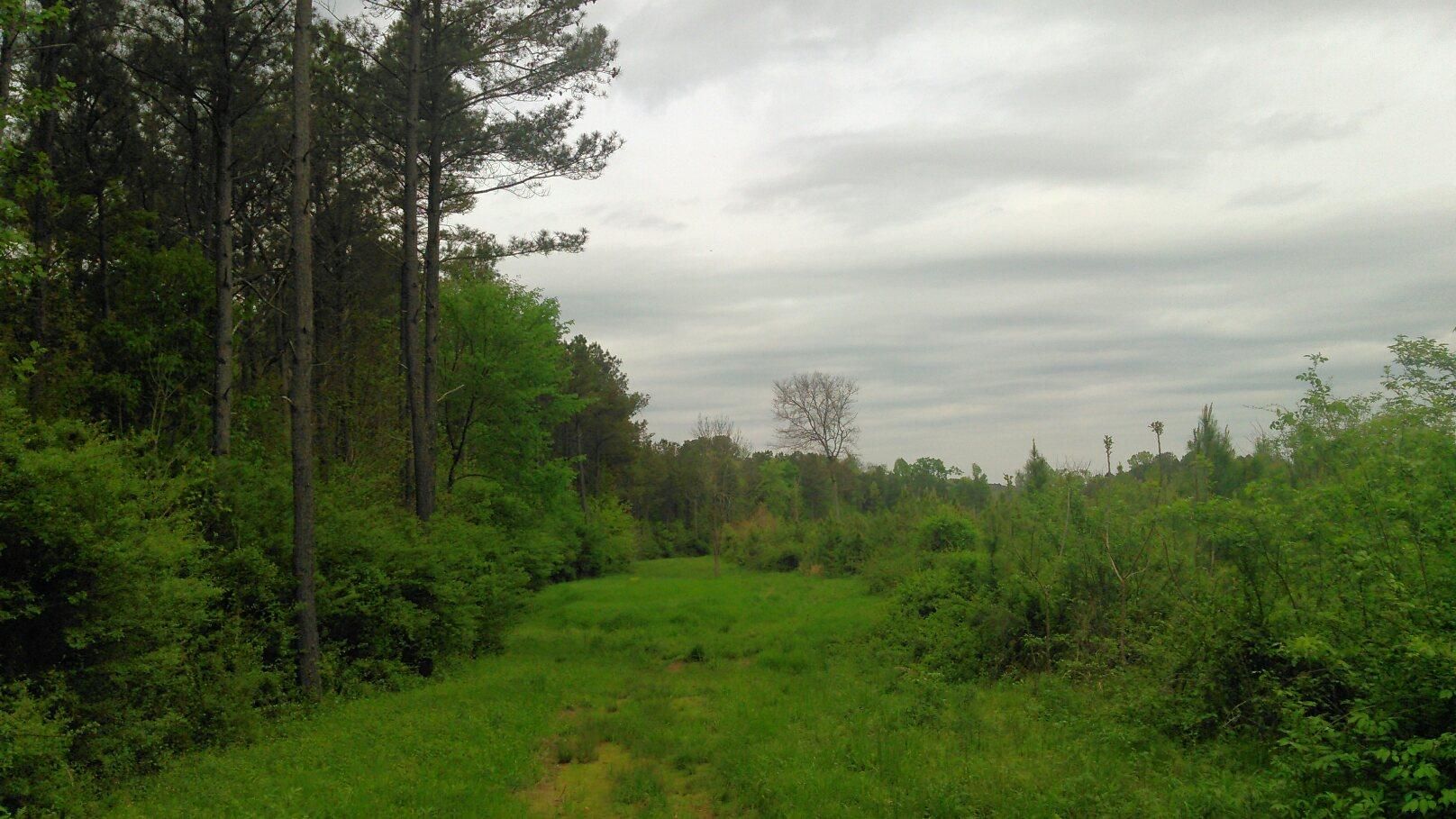 Plainville, Gordon County, GA Farms and Ranches for sale Property ID
